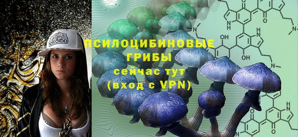 мяу мяу мука Аркадак