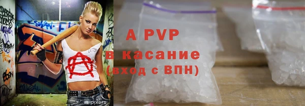 прущие грибы Арсеньев