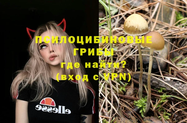 мяу мяу мука Аркадак