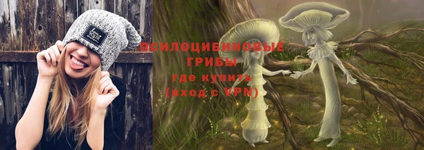 прущий лед Алзамай