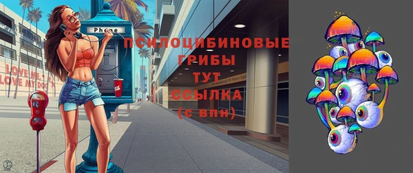 прущие грибы Арсеньев